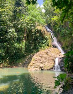 activites-guadeloupe-cascade-bras-fort-01