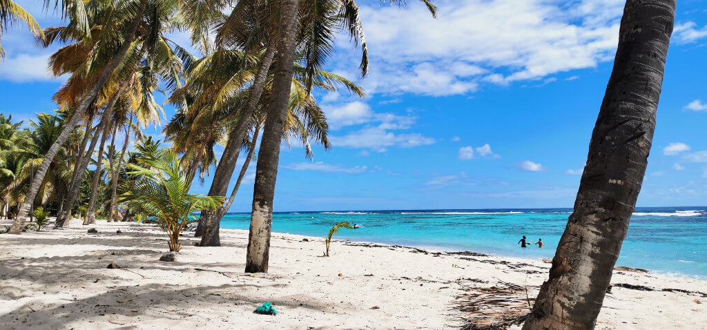 plage-souffleur-ile-desirade-guadeloupe