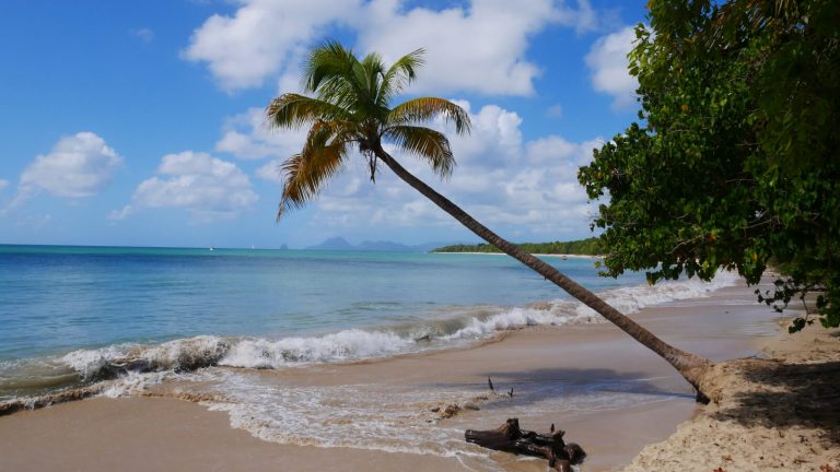 TOP 10 – Plages de Martinique