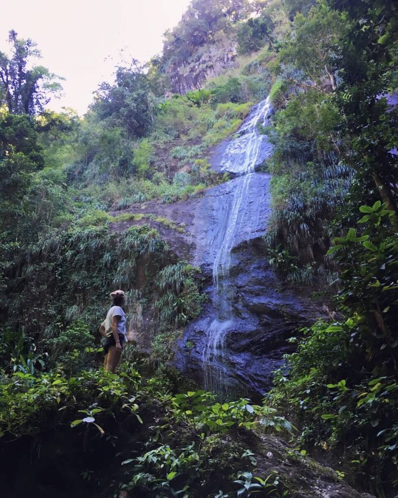 cascade-couleuvre-activites-martinique-01