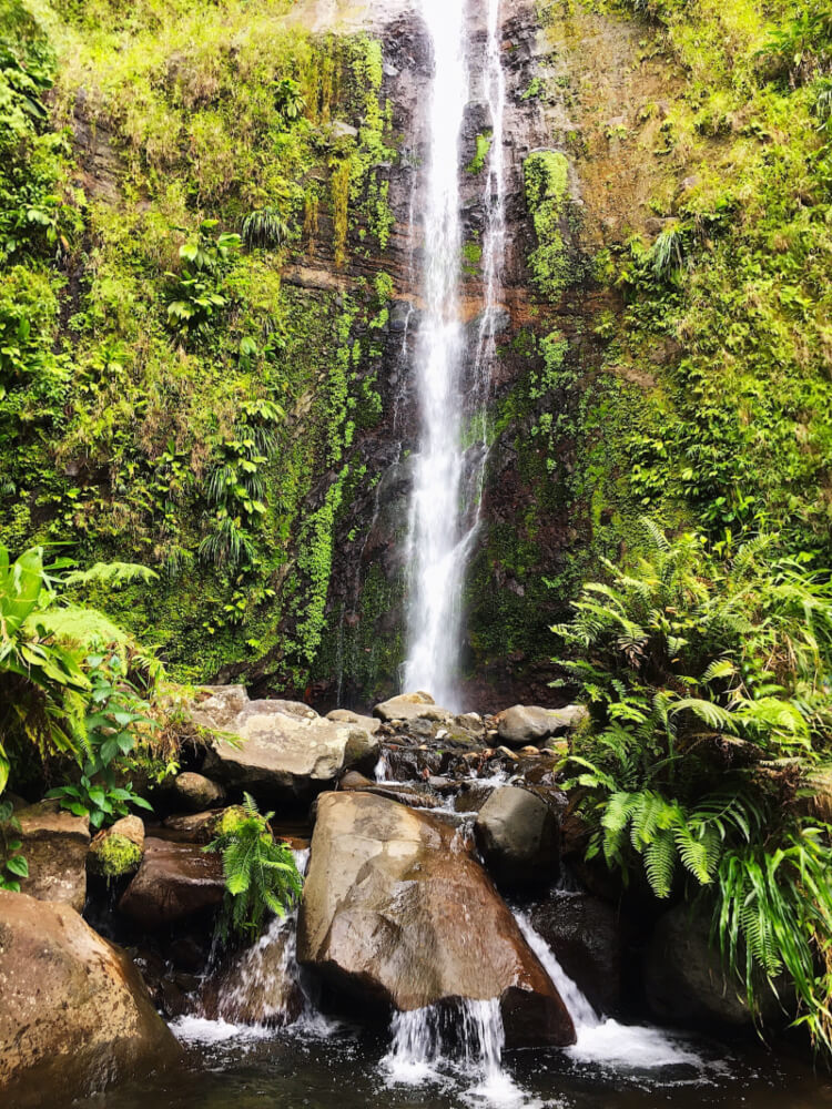 chutes-moreau-randonnees-guadeloupe-01